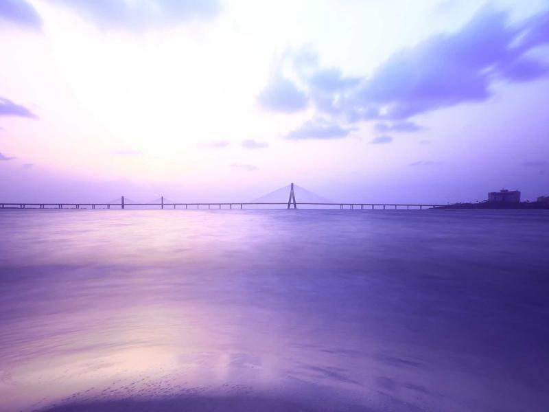 诗经草木疏<br>lyv4augd.cn 蒹葭苍苍白露